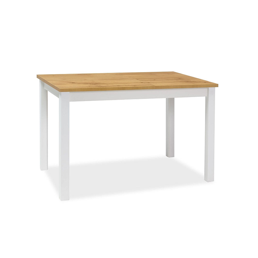 Table Léonard - bois stratifié et blanc - 100 x 60 x 75 cm